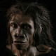 Illustration for article titled How sugar molecules secretly shaped human evolution